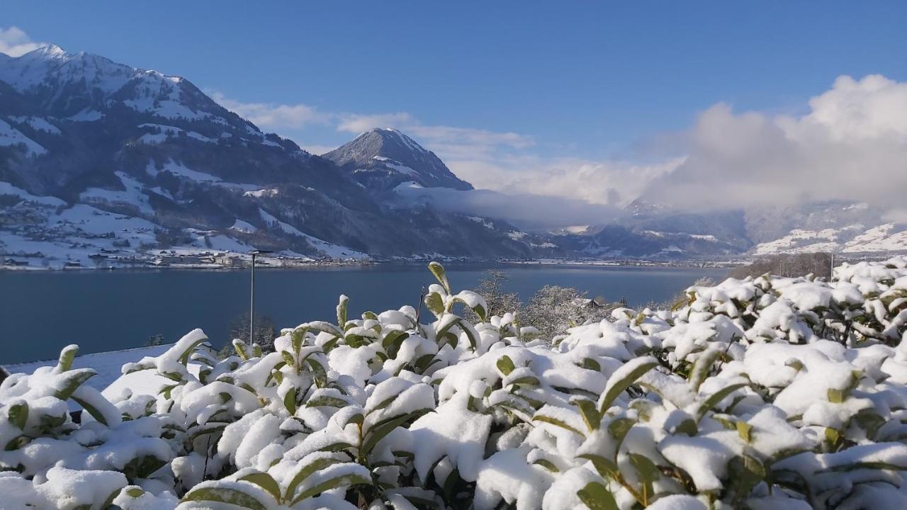 Seehotel Wilerbad Spa & Seminar Sarnen Exterior photo